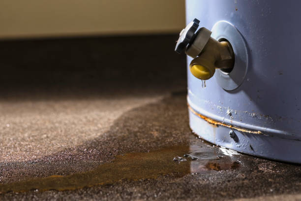Best 24/7 water damage repair  in East Camden, SC