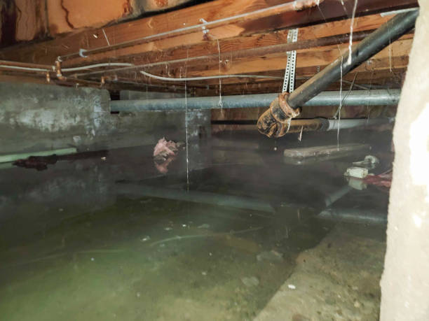Best Water damage restoration near me  in East Camden, SC