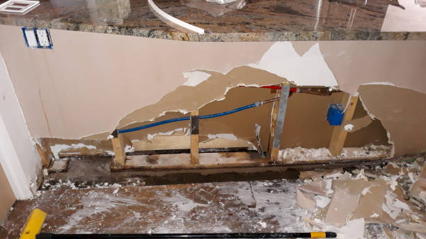 Best Commercial water damage restoration  in East Camden, SC