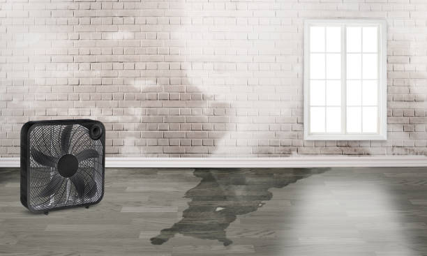Professional Water damage restoration in East Camden, SC
