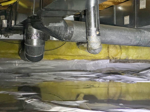 Best Carpet water damage restoration  in East Camden, SC