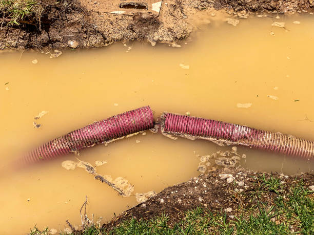Best Local water damage restoration  in East Camden, SC